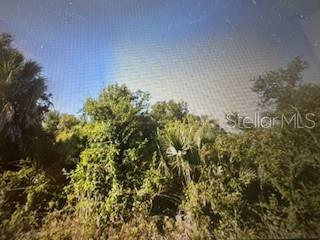 Property Photo:  7154 Freeberg Circle  FL 33981 