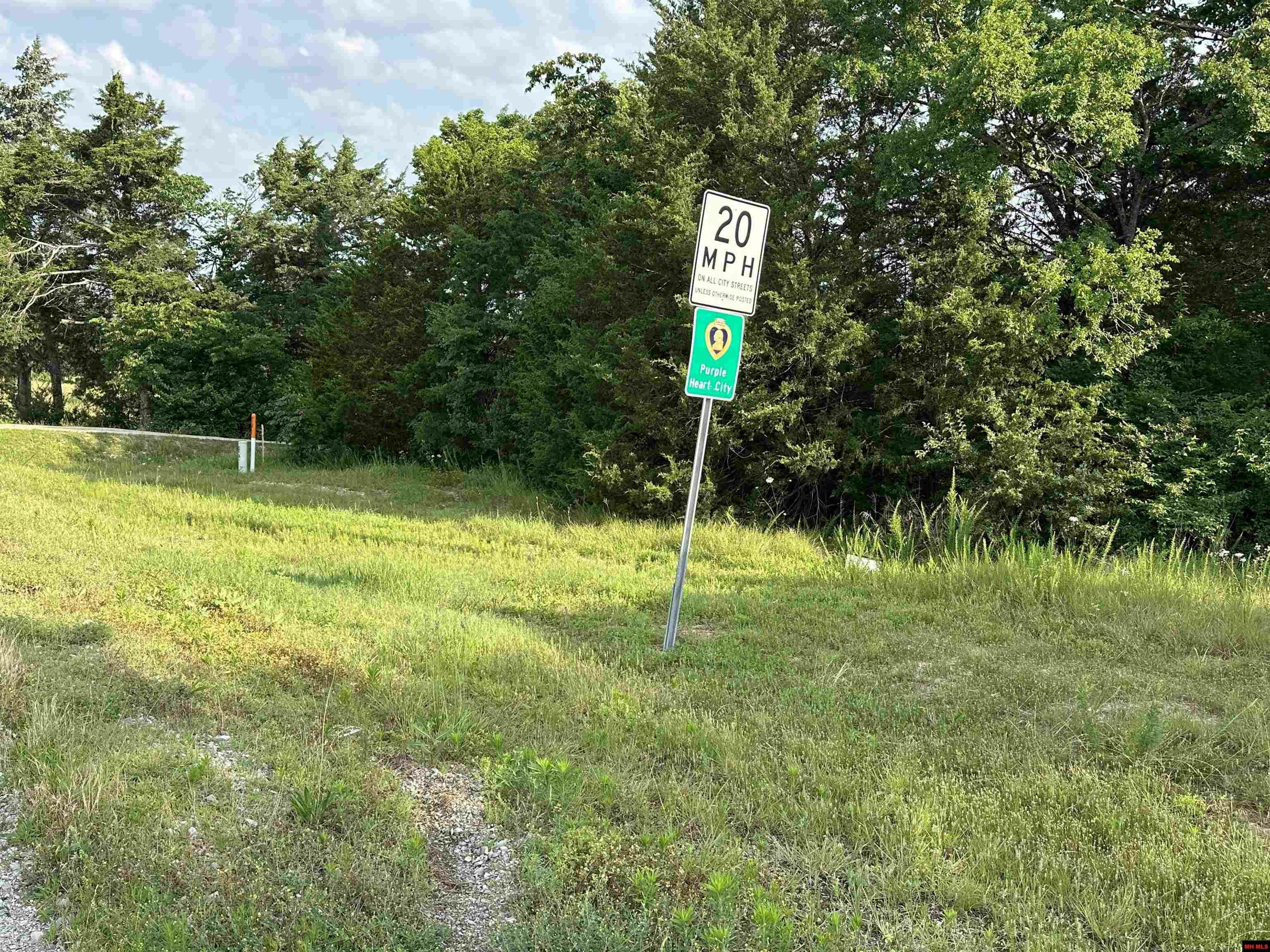 Property Photo: 770-05771-000 Hwy 62 B AR 72634