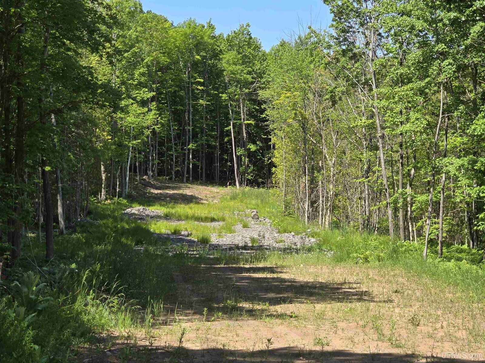 Property Photo:  1504 Sugar Maple Lane  MI 49931 