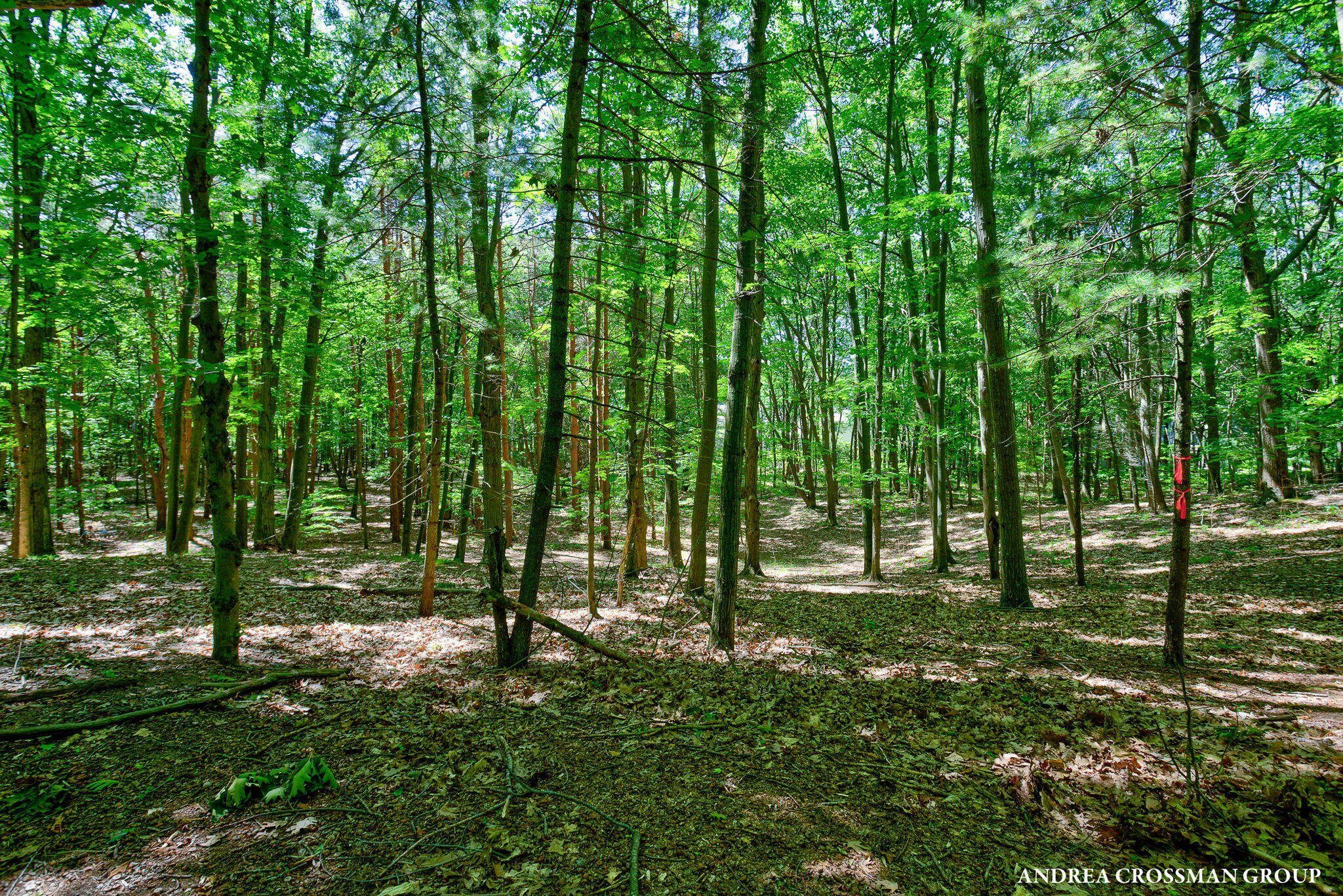 Property Photo: 0 Stonebridge Trail MI 49408