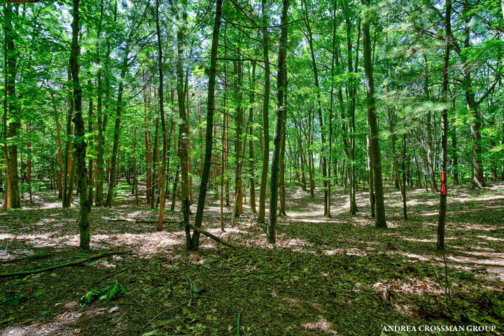 Property Photo:  0 Stonebridge Trail  MI 49408 