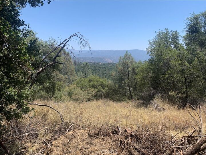 Property Photo:  17 Pine Tree  CA 93643 