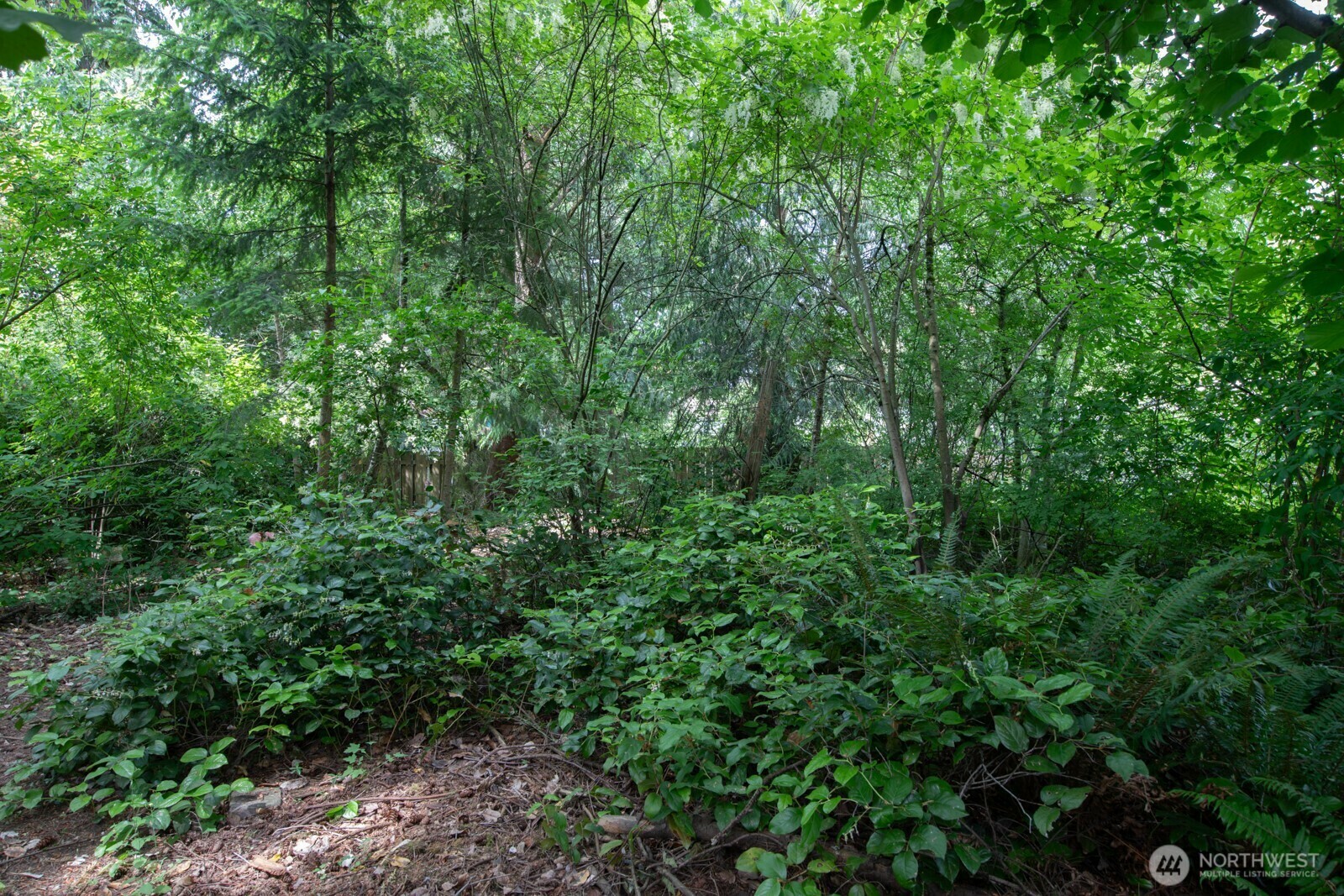 Property Photo: 0 1st Avenue NE WA 98125