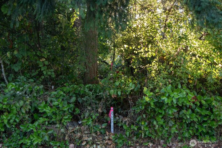 Property Photo: 0 1st Avenue NE WA 98125