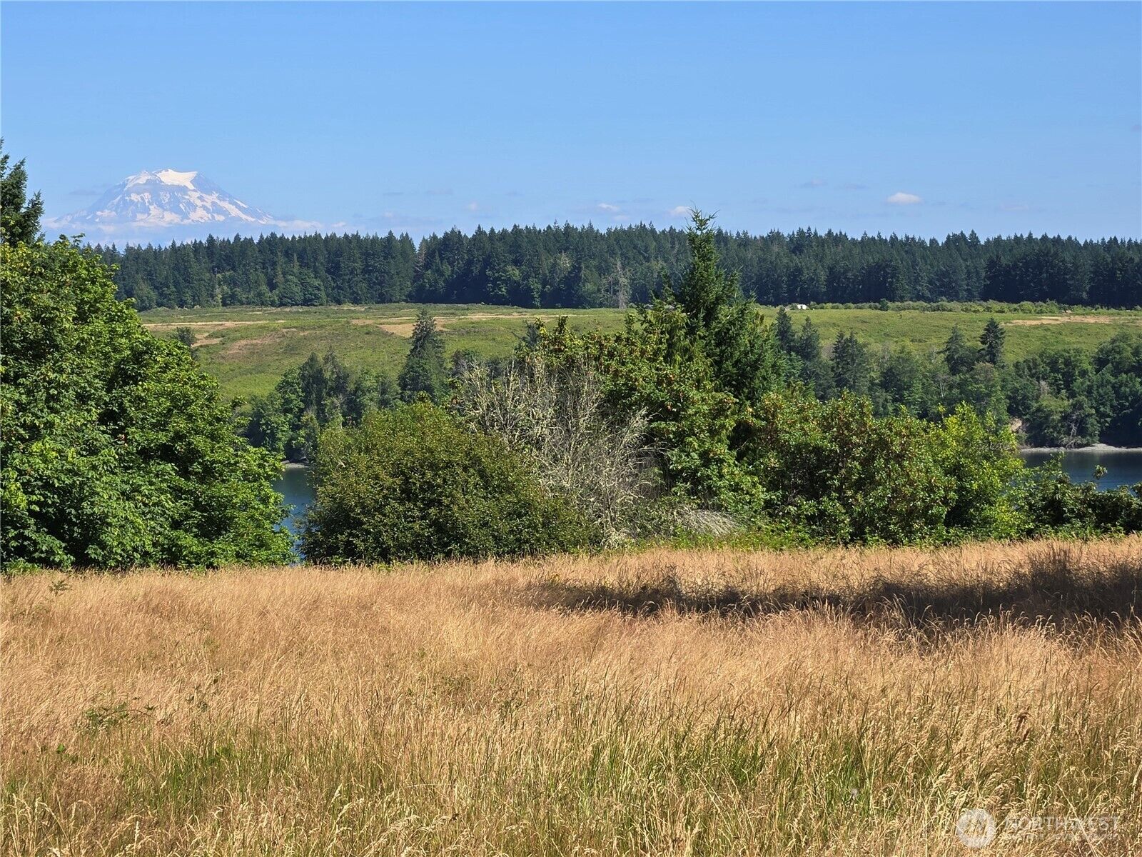 Property Photo:  14528  45th Street SW  WA 98349 