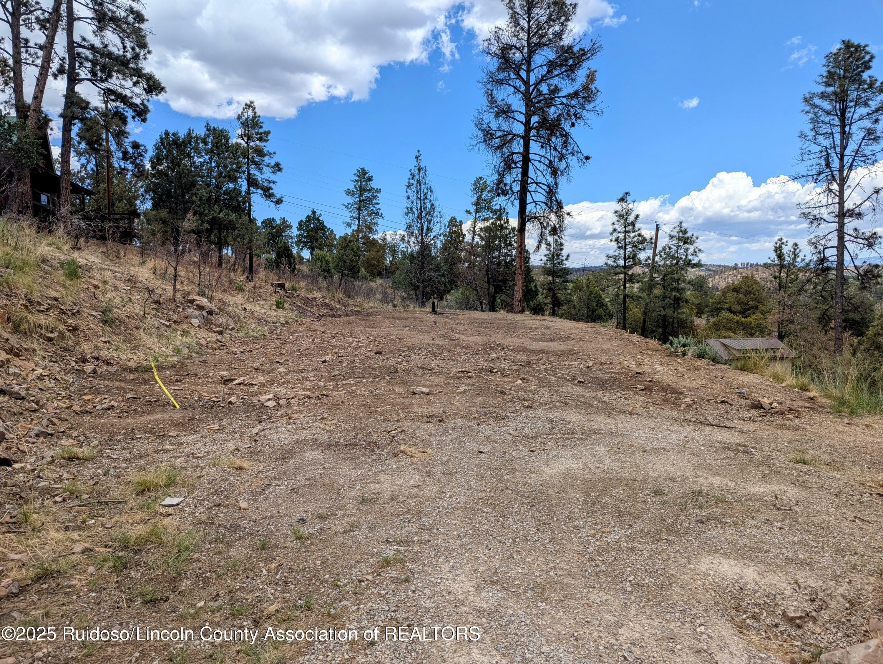 Property Photo: 114 White Pine Road NM 88345