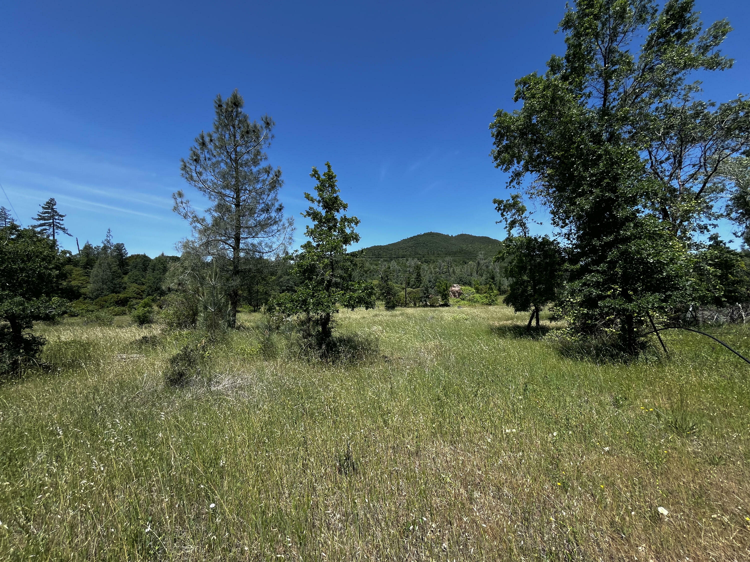 Property Photo:  29609 Cedar Creek School Road  CA 96084 
