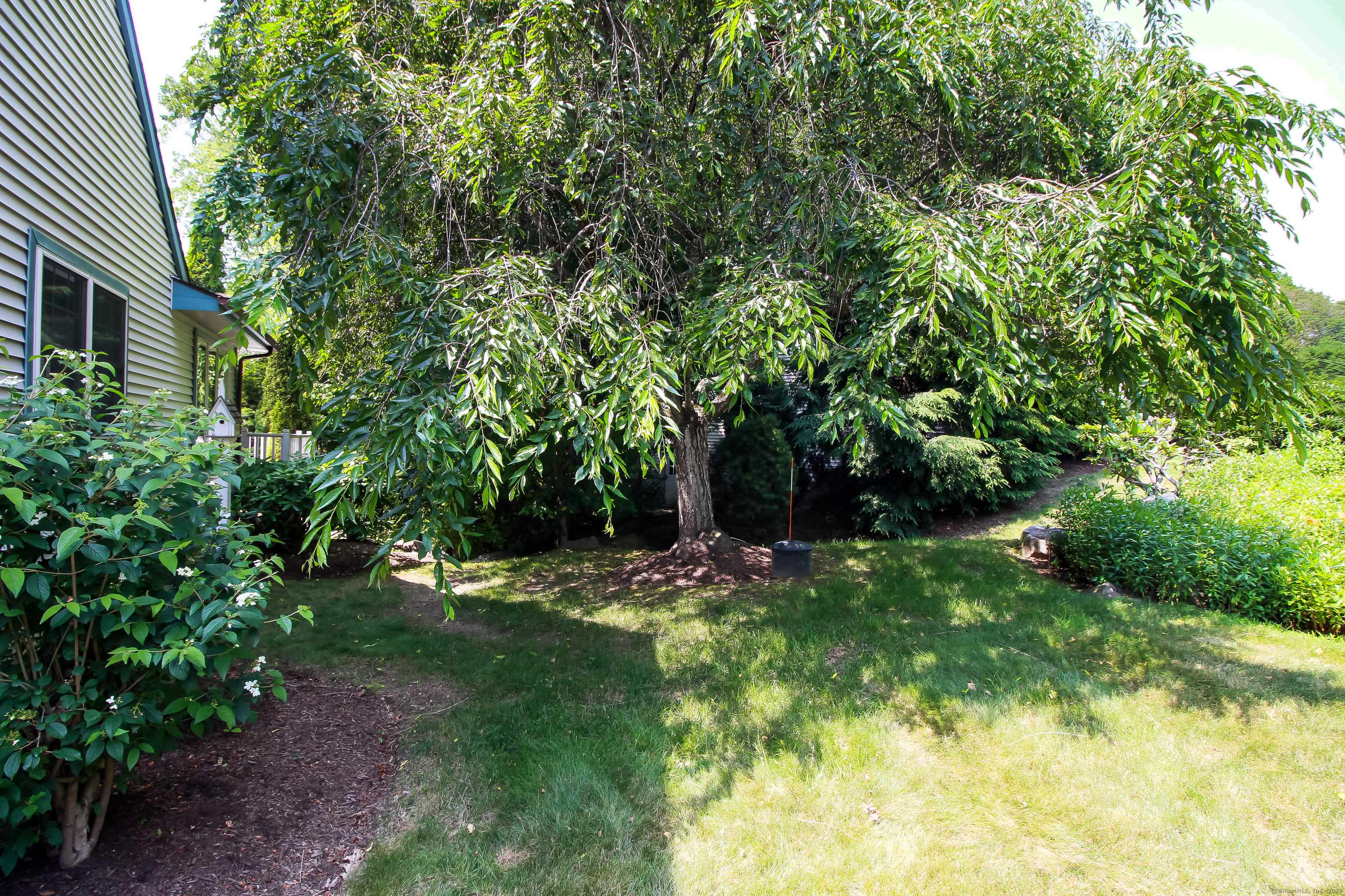 Property Photo:  1 Chestnut Drive 1  CT 06357 