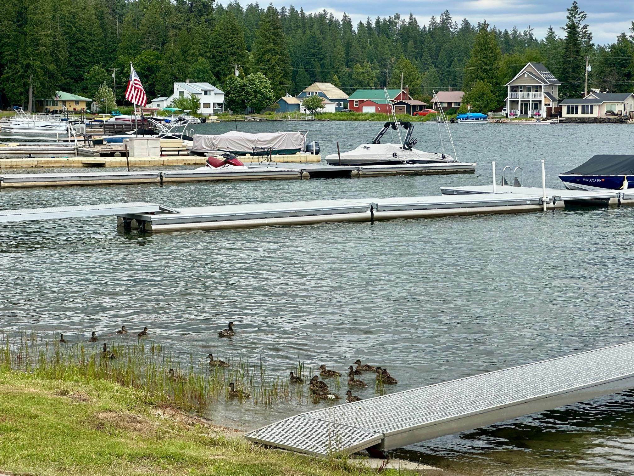 Property Photo: 261 Terrace Ave WA 99156