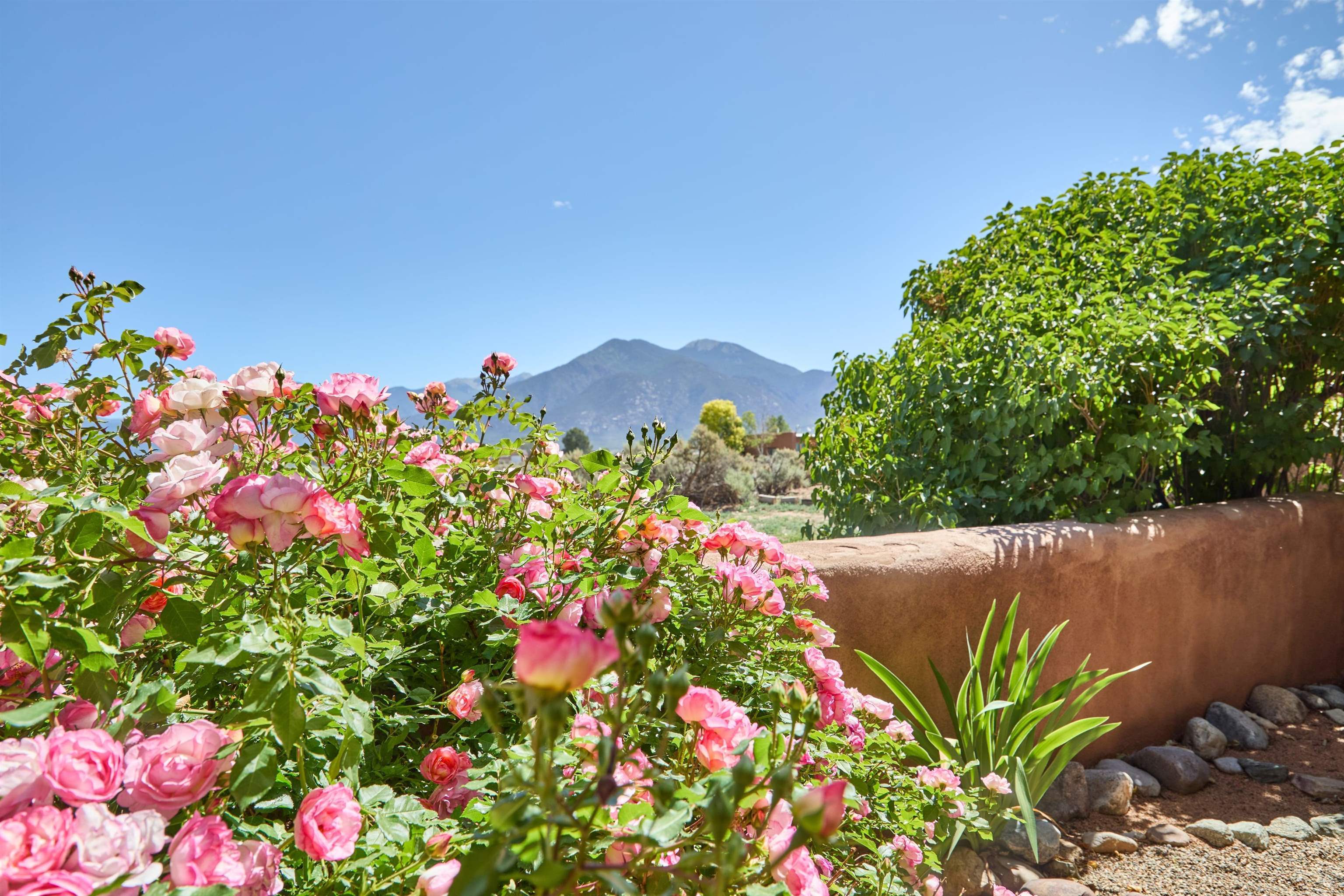 Property Photo: 26 Eototo Rd NM 87529-0000
