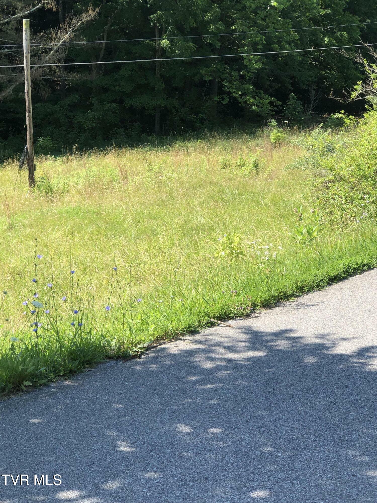 Property Photo: 501 Gottland Shoals Road TN 37617