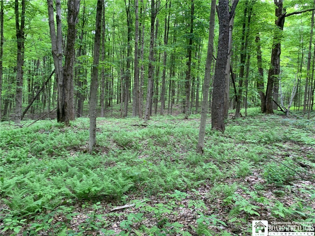 Property Photo: 905 Waterman Road NY 14747