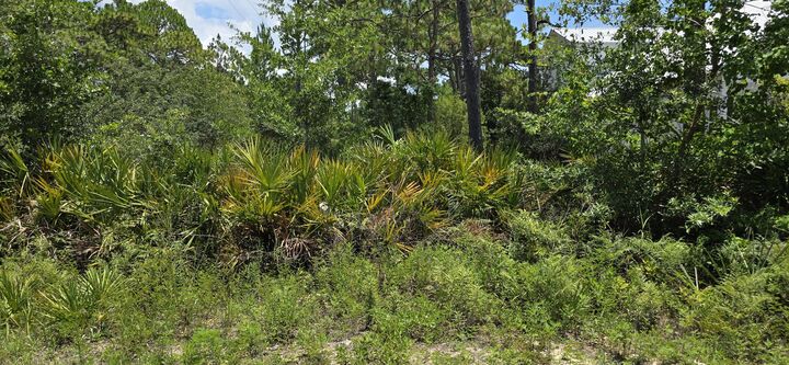 Property Photo:  Lot #24 Elm Street  FL 32459 