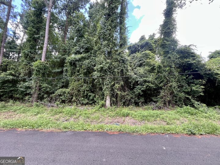 Property Photo: 109 Midway Circle GA 31523