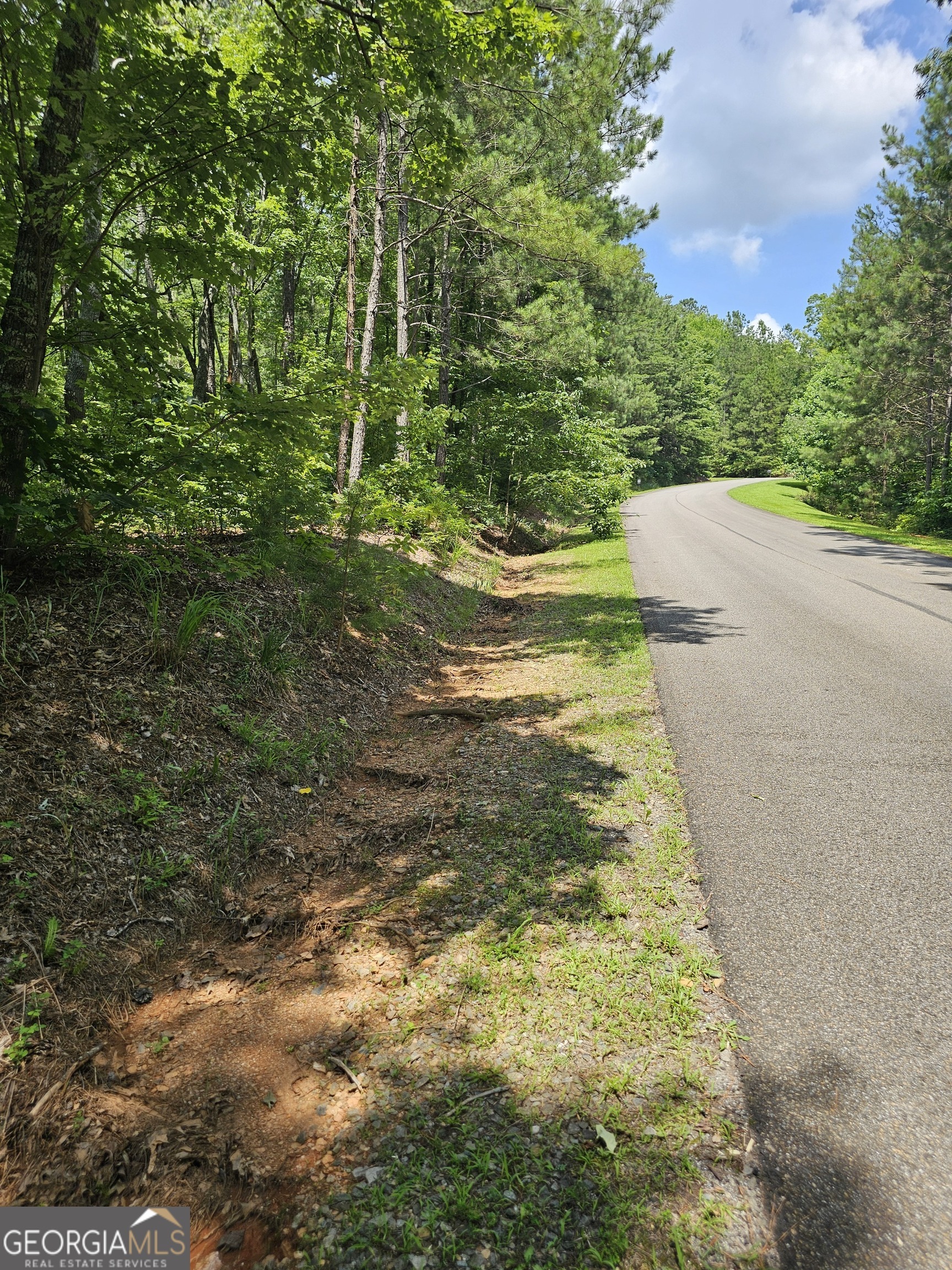 Property Photo: 0 Harris Ridge Drive GA 30540