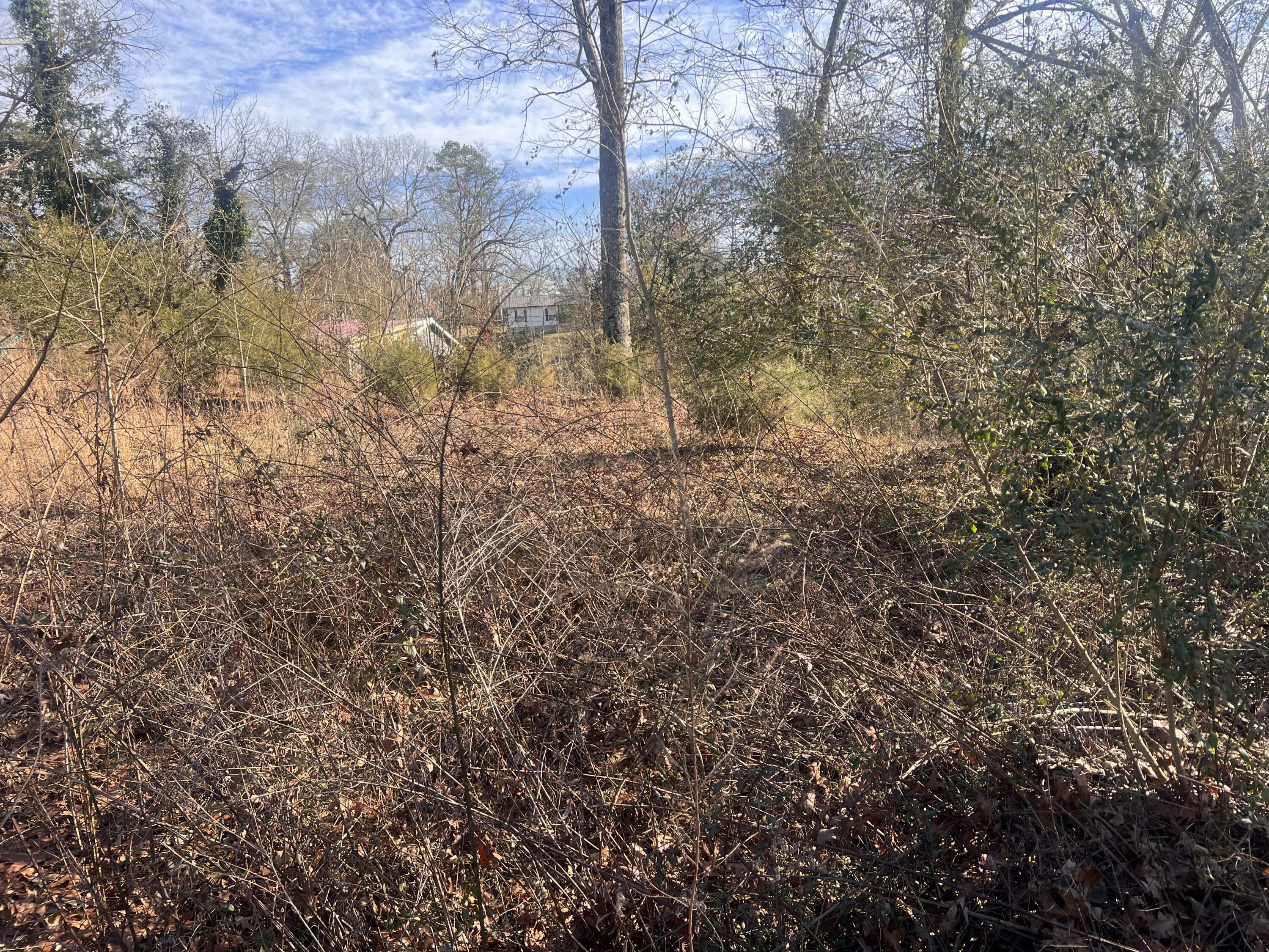 Property Photo:  0 S Ehrich Avenue  AL 35740 