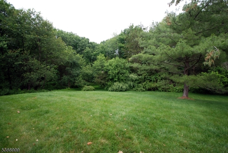 Property Photo: 25 Watchung Trl NJ 08876