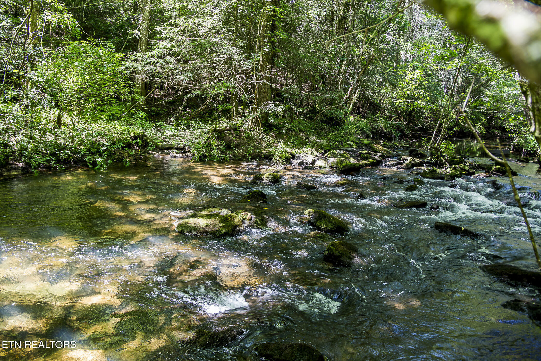 Property Photo:  Lot 18 Sparta Drive  TN 38555 