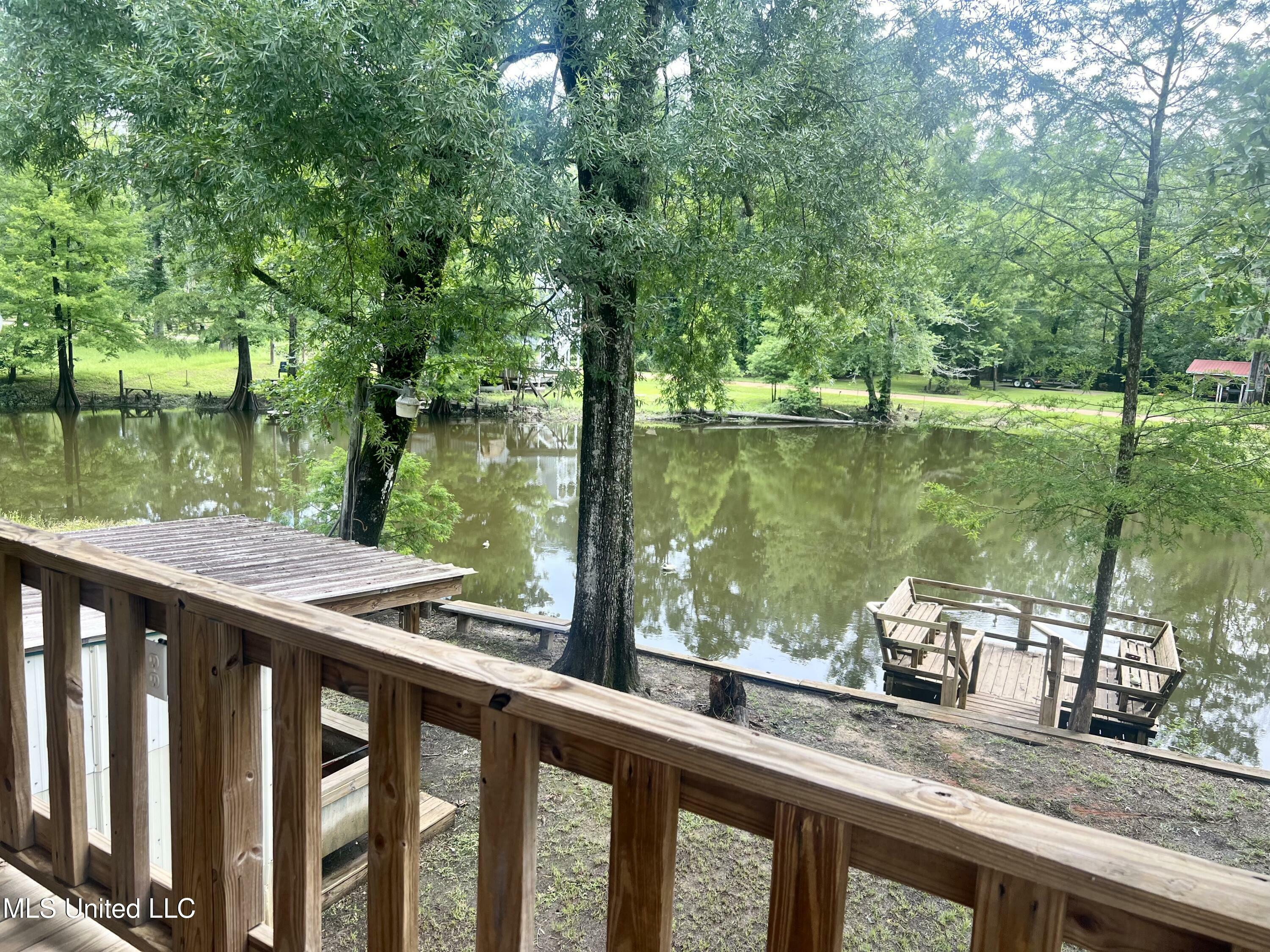 Property Photo: 197 Deer Lane MS 39452