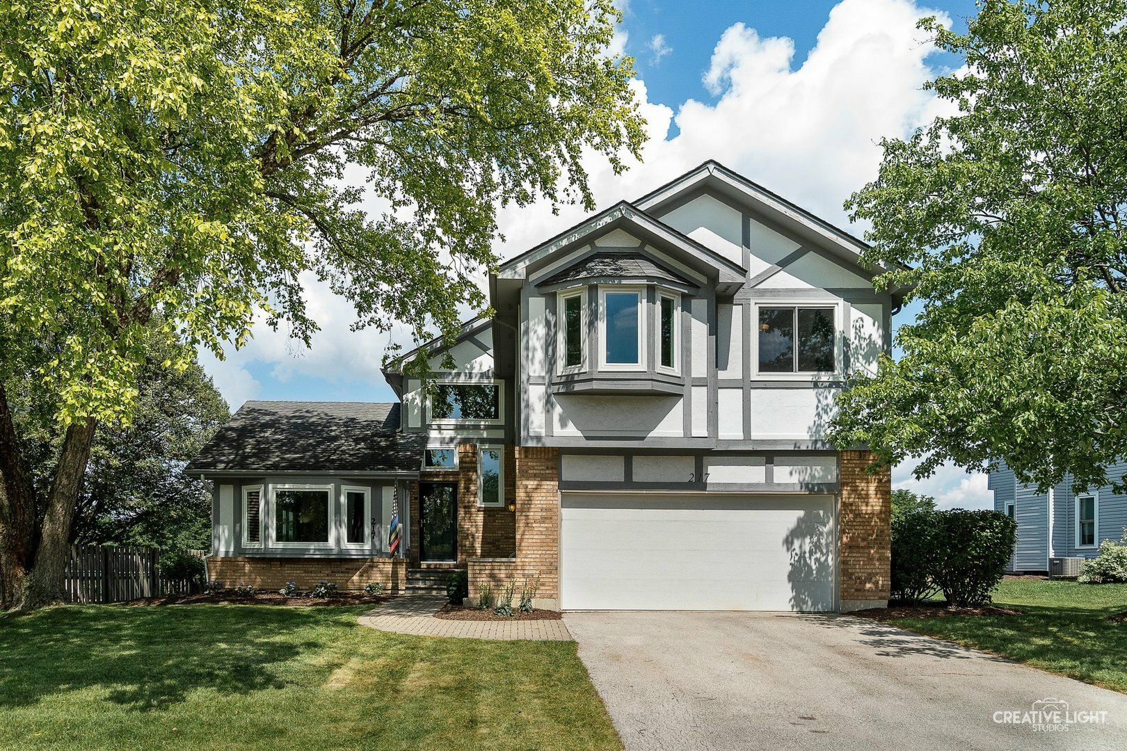 Property Photo: 217 Cortez Court IL 60563