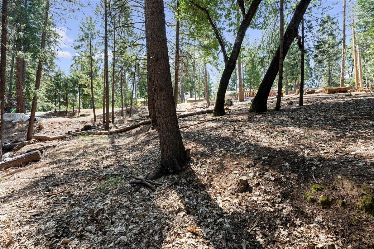 5521 Begonia Drive  Pollock Pines CA 95726 photo