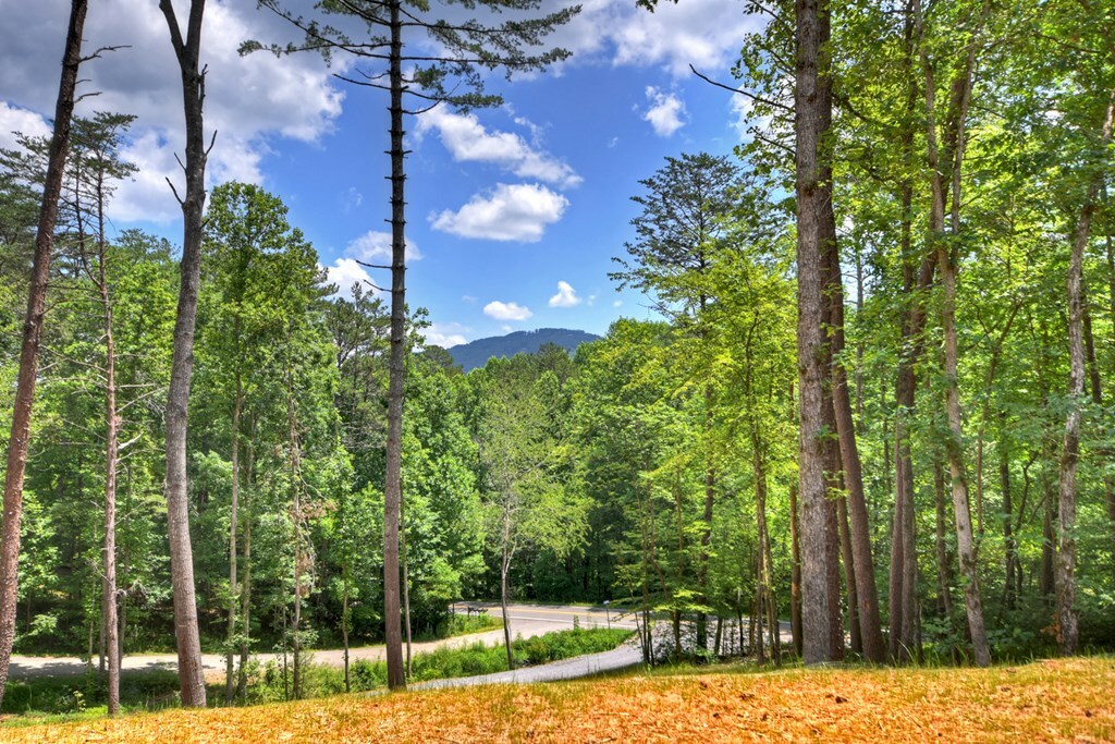 Property Photo: 2461 Salem Road GA 30559
