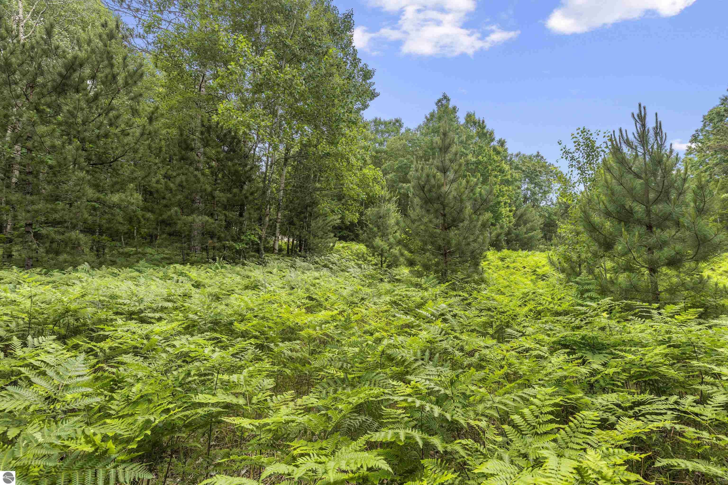 Property Photo: Lot 61 Bramblewood Drive MI 49601