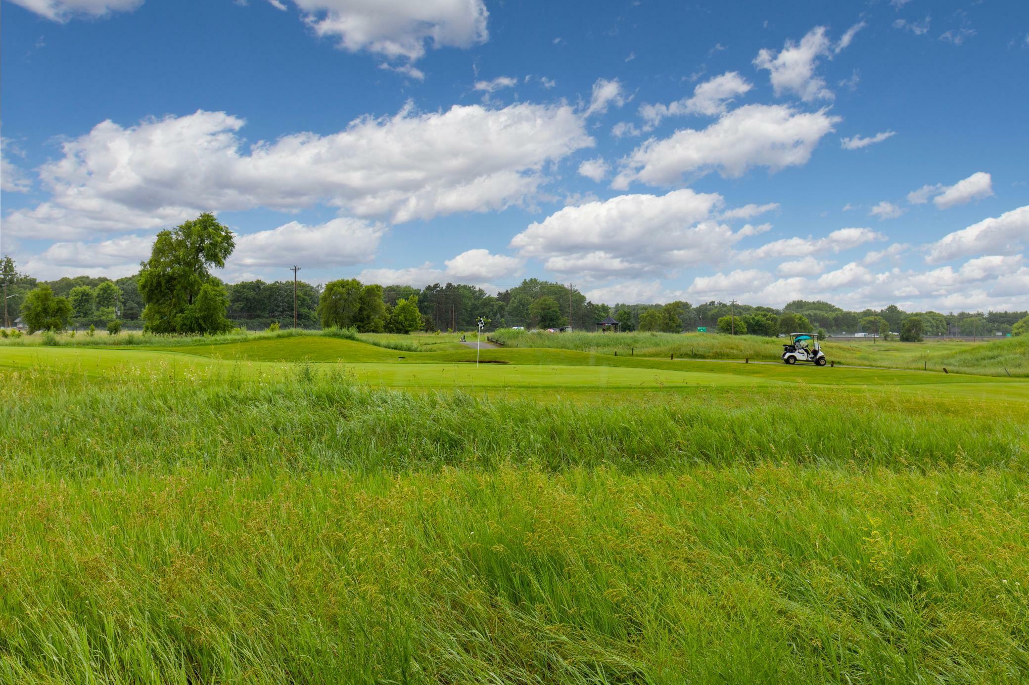 Property Photo: 14964 Tiger Street NW MN 55303
