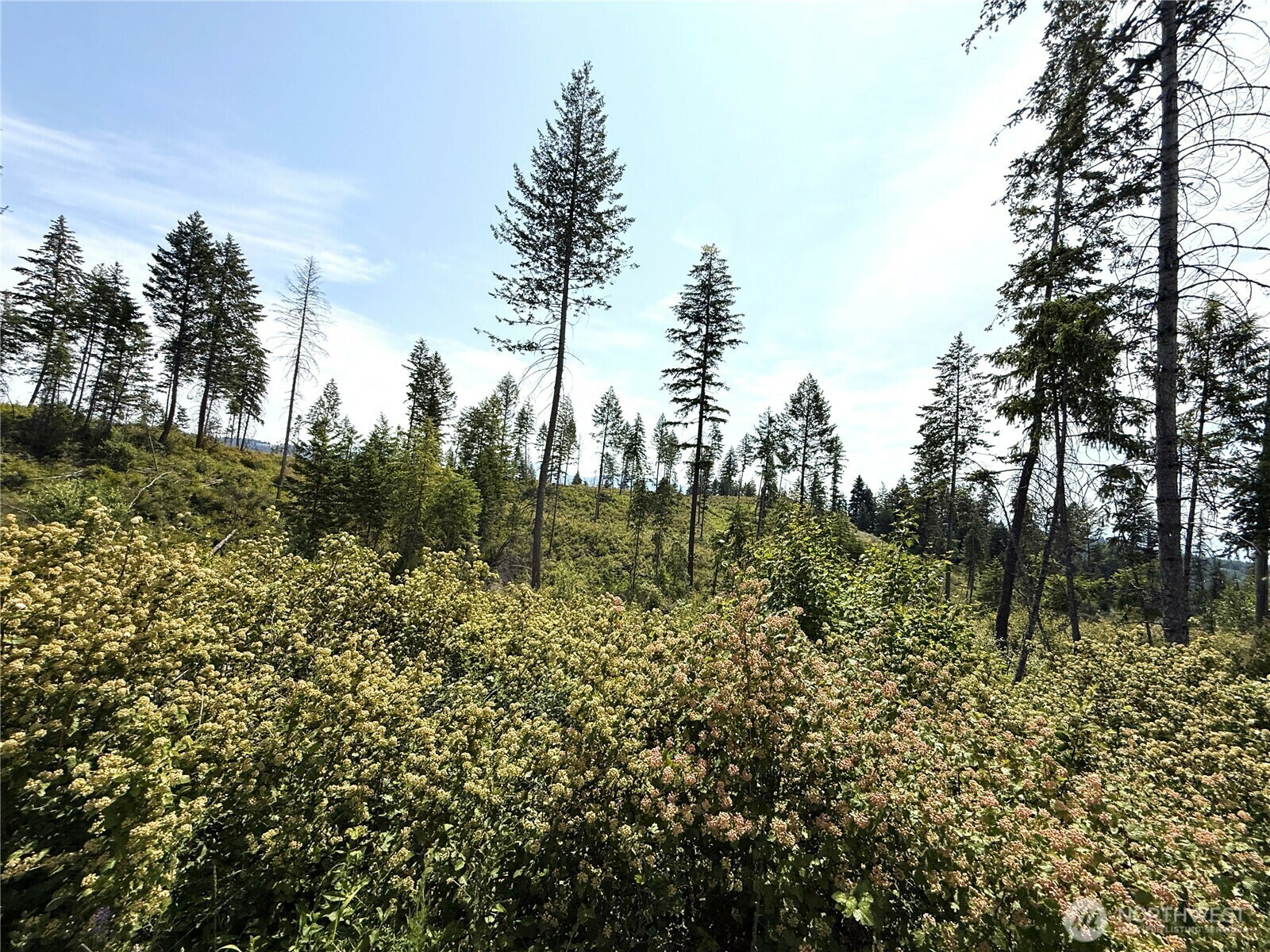Property Photo:  0 Lot 1  Rockabye Lane  WA 99118 