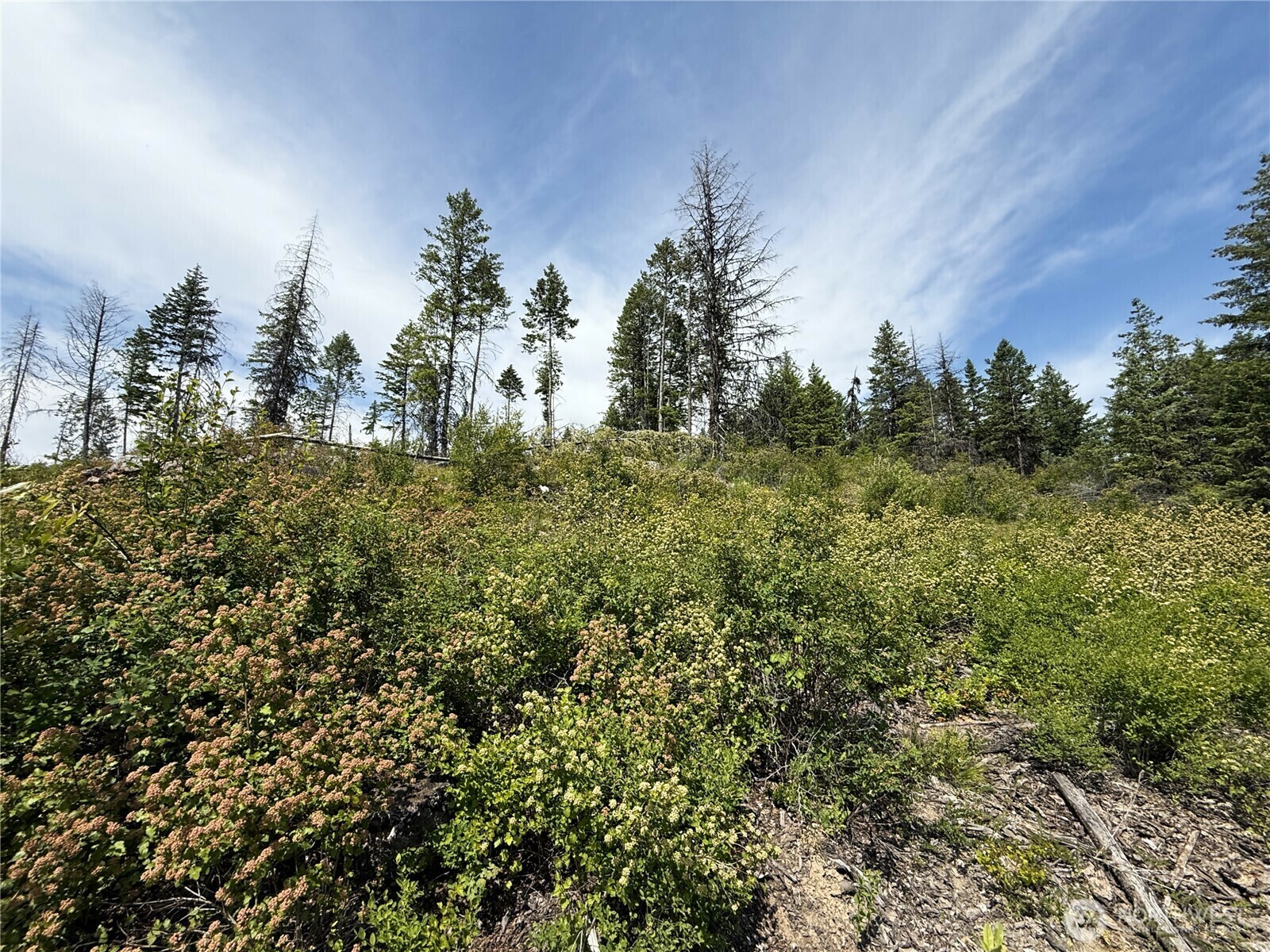 Property Photo:  0 Lot 3  Rockabye Lane  WA 99118 
