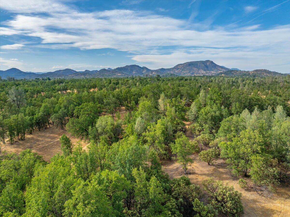Property Photo:  Mylindas Way  CA 96003 