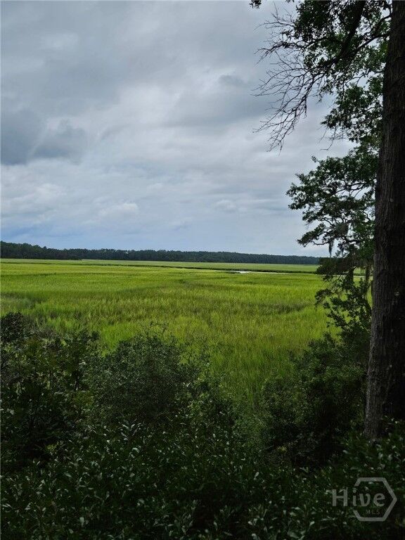 Property Photo: Lot 27 St Catherine Circle GA 31324