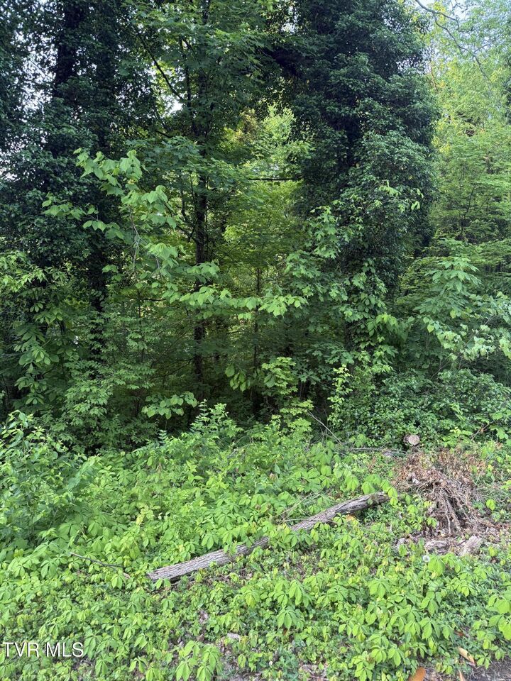 Lot 16 Ashley Street  Kingsport TN 37664 photo