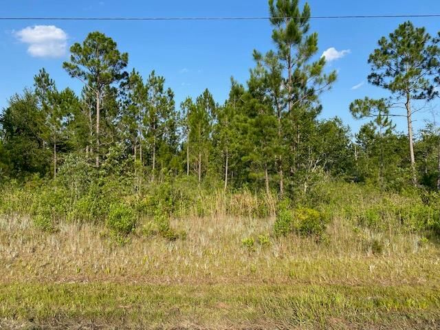 Property Photo:  13 Oak Bend Drive  GA 31641 