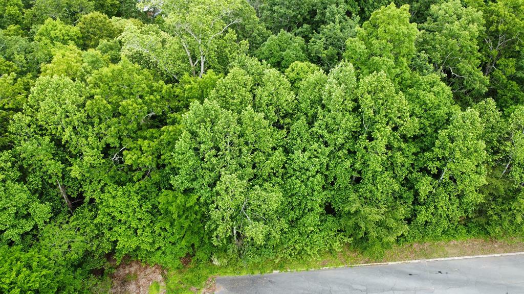 Property Photo: 0 Belgian Drive GA 30720