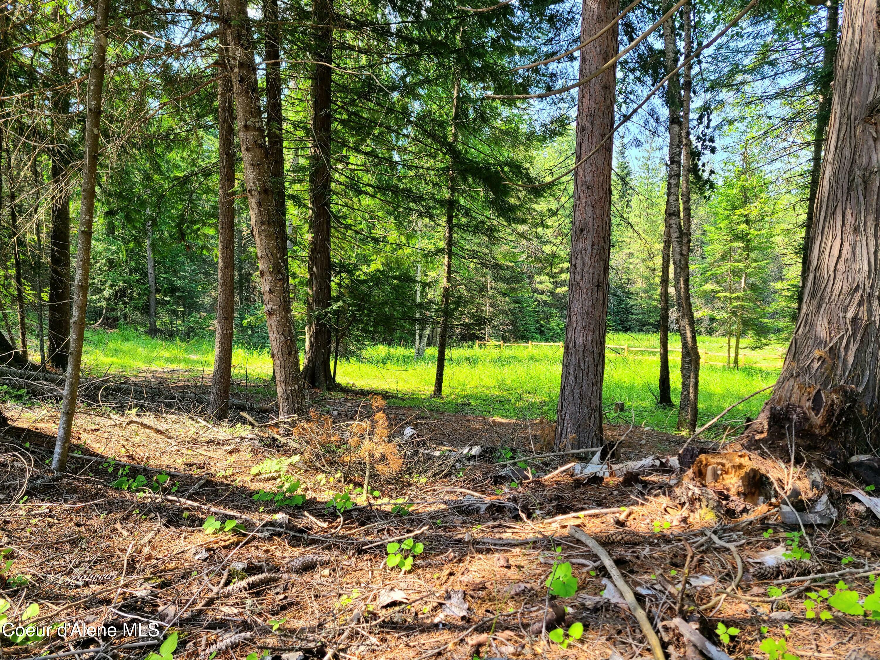 Nna Green Bay Rd - Lot 1C  Sagle ID 83860 photo