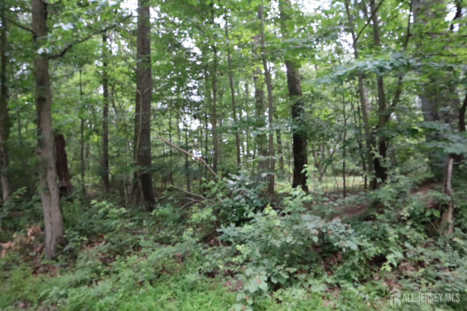 Property Photo: 181 Mountain Road NJ 08551
