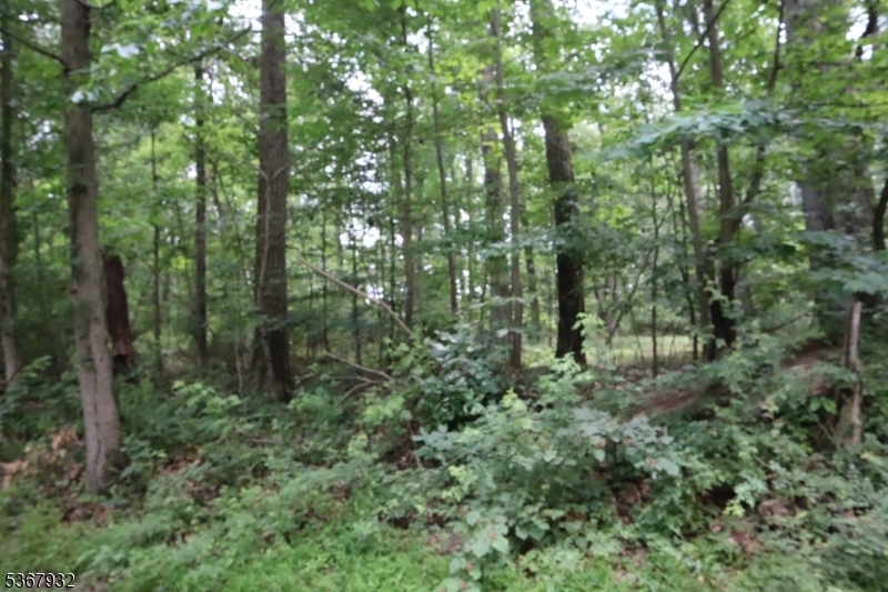 181 Mountain Road  East Amwell Twp. NJ 08551 photo