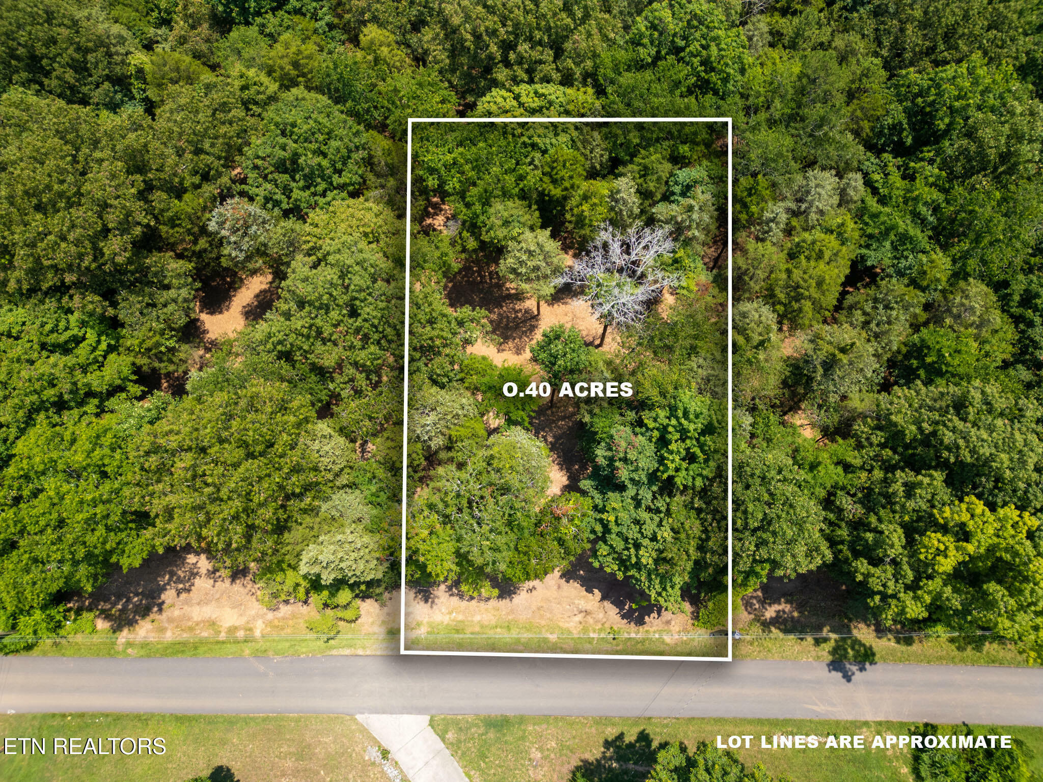 Property Photo: 181 Pinecrest Drive TN 37774