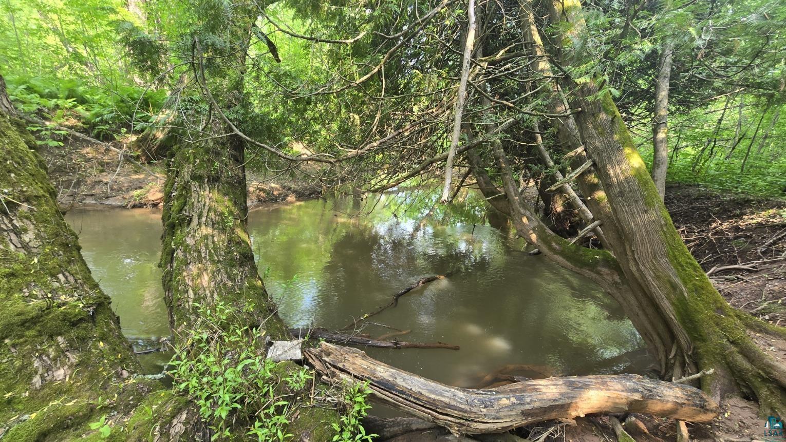 Property Photo: 10550 Flagg River Rd WI 54865