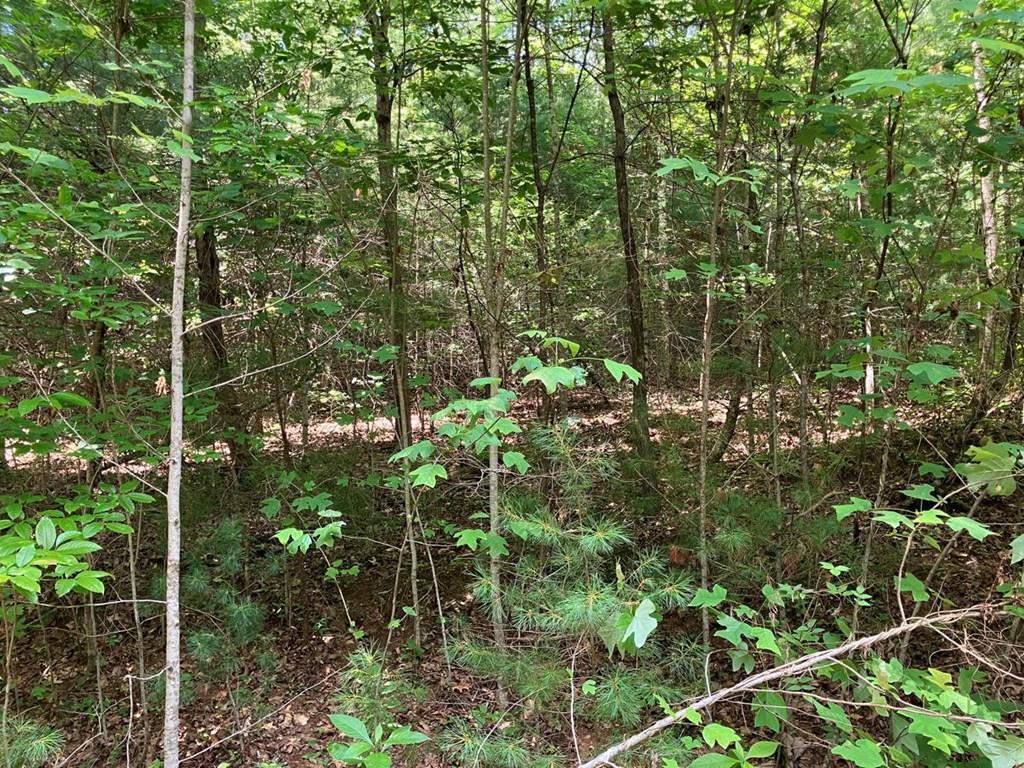 Property Photo: Lot 6&Amp7 View Ridge Trail NC 28906