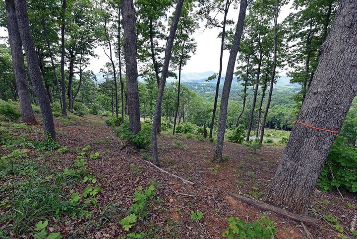 Property Photo: Lot 112 Highland Park GA 30512