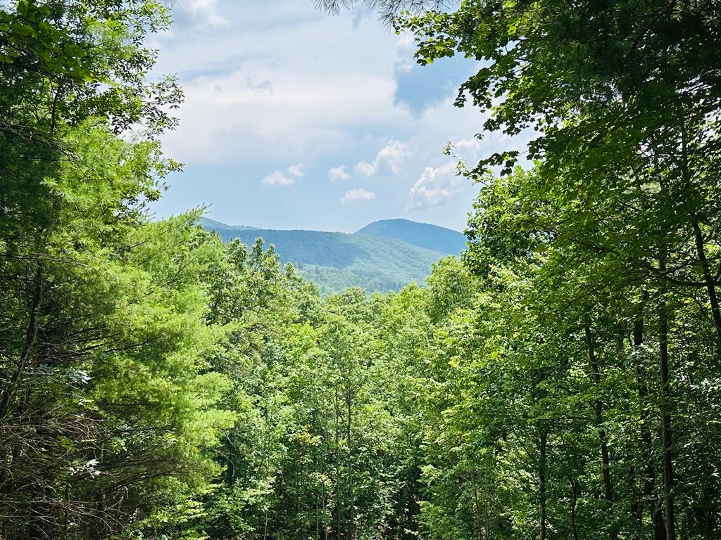 Property Photo: Lt 15 View Ridge Trail NC 28906