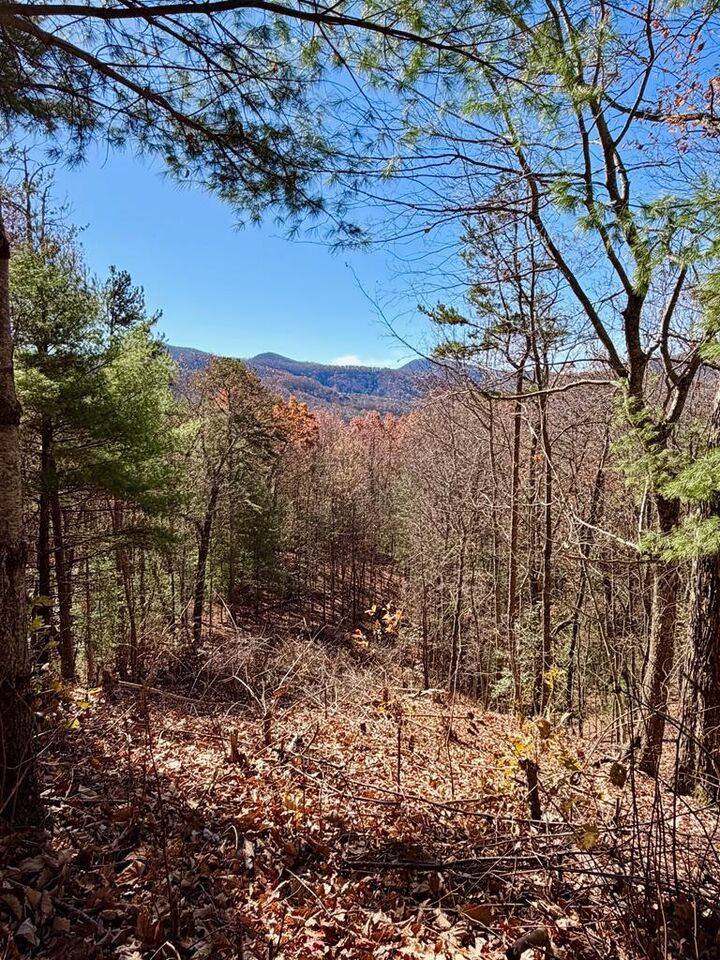 Lot #15 View Ridge Trail  Murphy NC 28906 photo