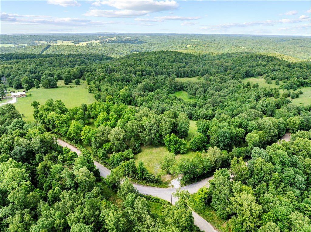 375 Tomahawk Slab Road  Saint Joe Twp AR 72650 photo