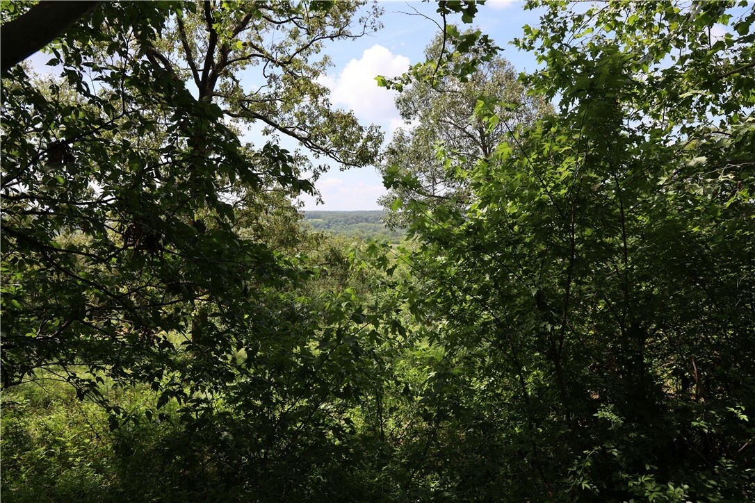Property Photo: 16447 Hook Drive AR 72761