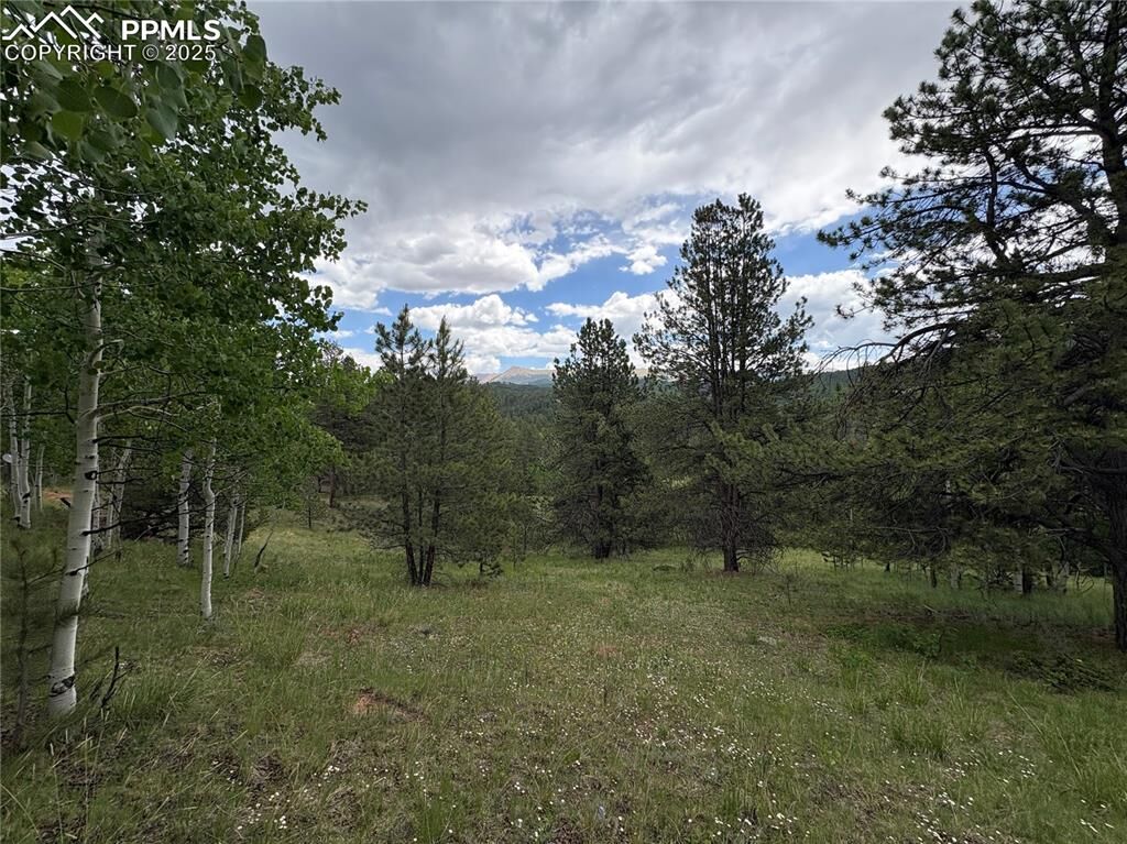 Property Photo:  532 May Queen Drive  CO 80813 