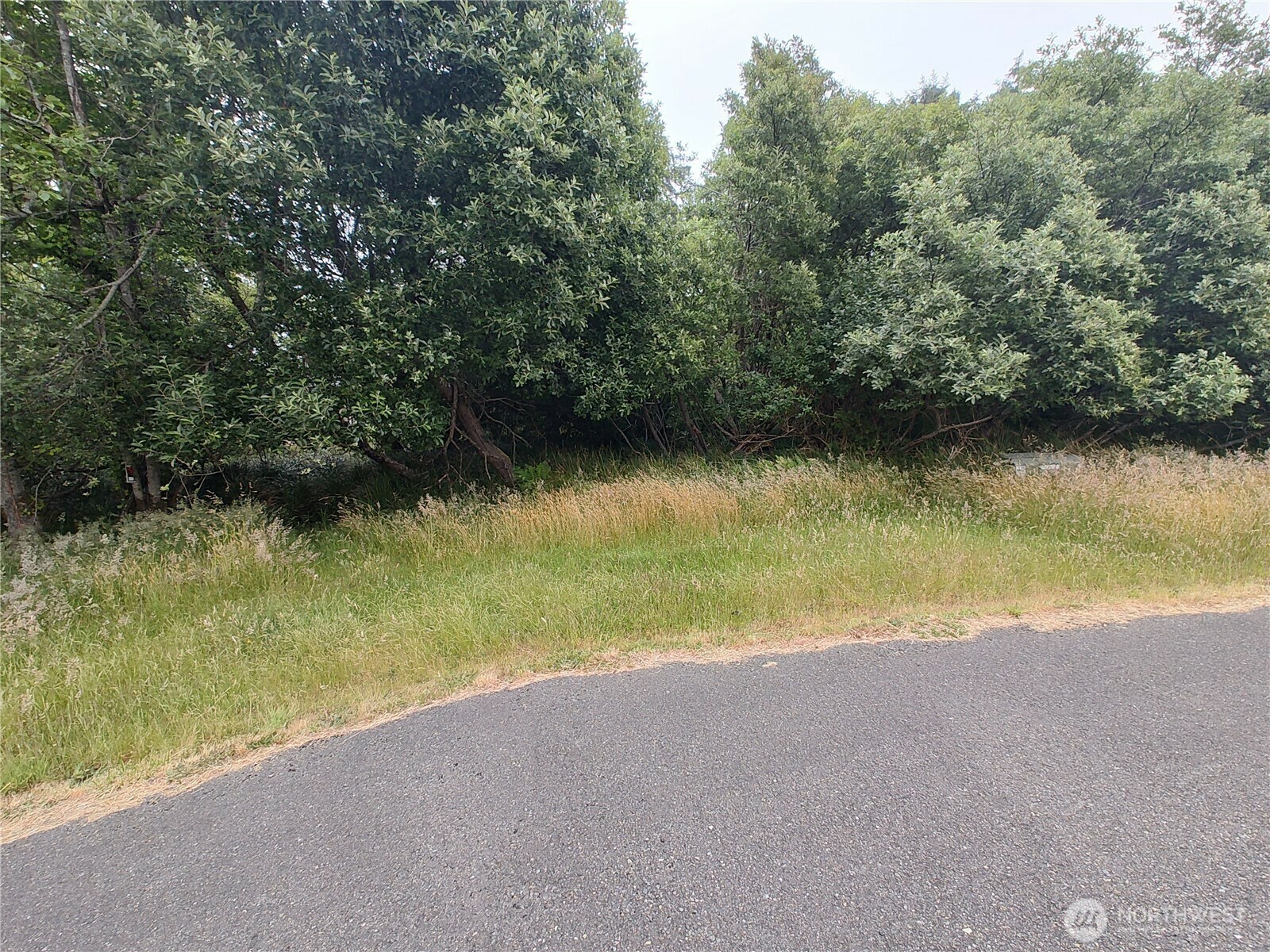 Property Photo: 660 Alder Court NE WA 98569