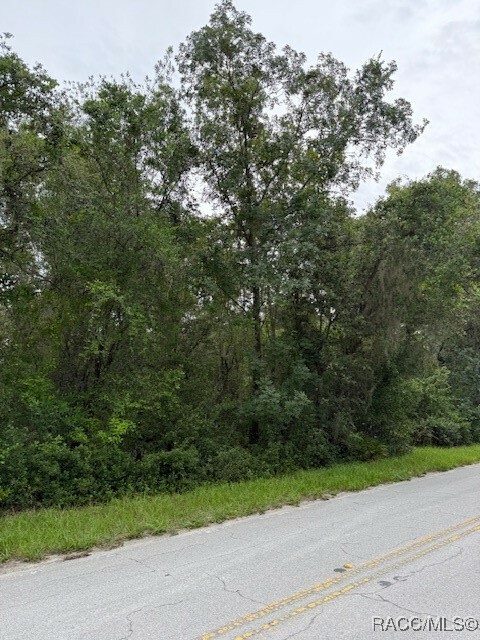 Property Photo:  7259 S Withlapopka Drive  FL 34436 