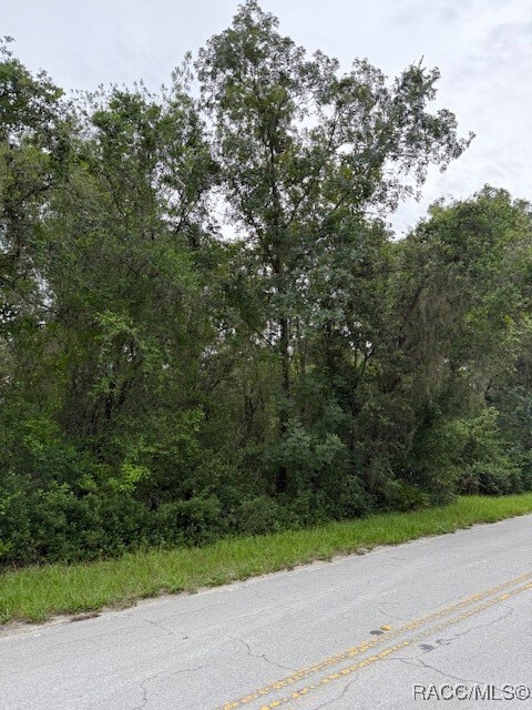 Property Photo: 7259 S Withlapopka Drive FL 34436